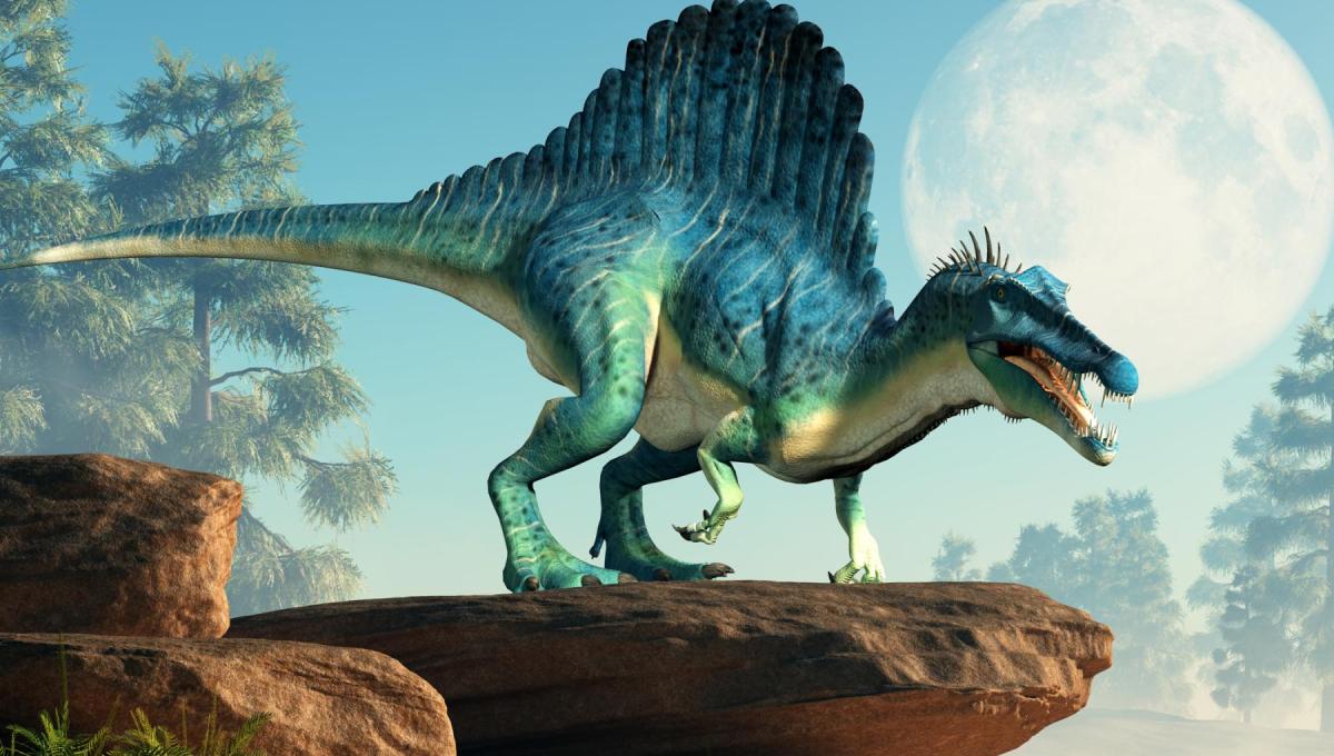 Dinosauři v hodinách informatiky