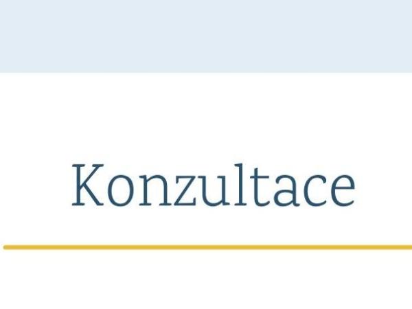 Konzultace 25.5.2023