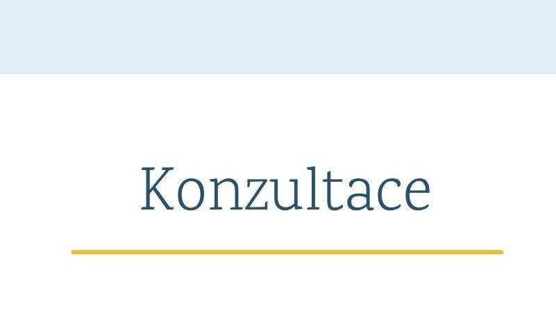 Konzultace 25.5.2023