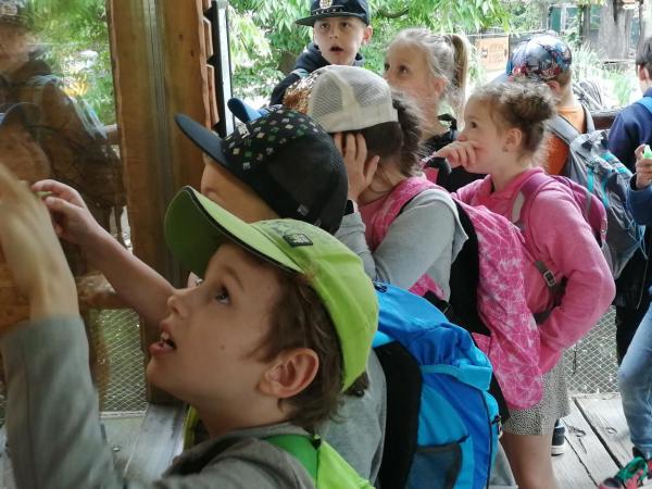 Exkurze do zoo Ohrada Hluboká
