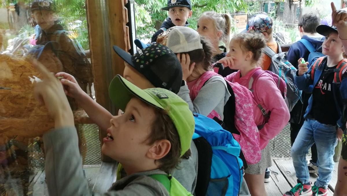 Exkurze do zoo Ohrada Hluboká