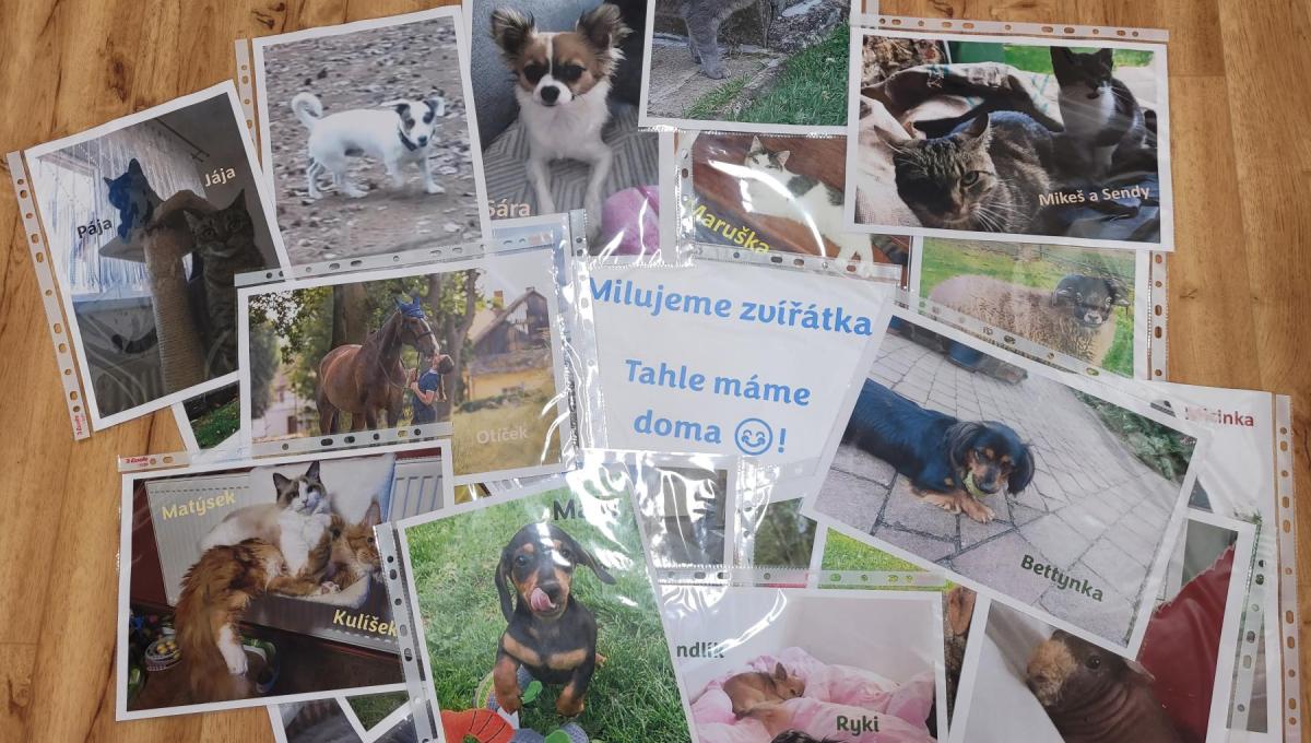 Milujeme zvířátka... a tahle jsou naše!