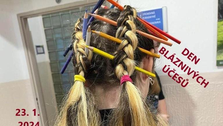 Den bláznivých účesů
