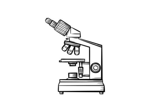 Výsledky školního kola BIOLOGICKÉ OLYMPIÁDY