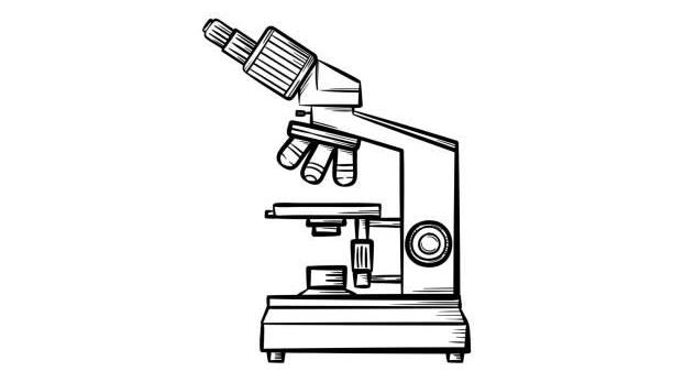 Výsledky školního kola BIOLOGICKÉ OLYMPIÁDY