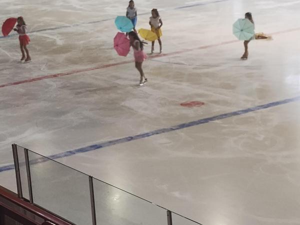 Krasobruslařská schow strakonice 2024