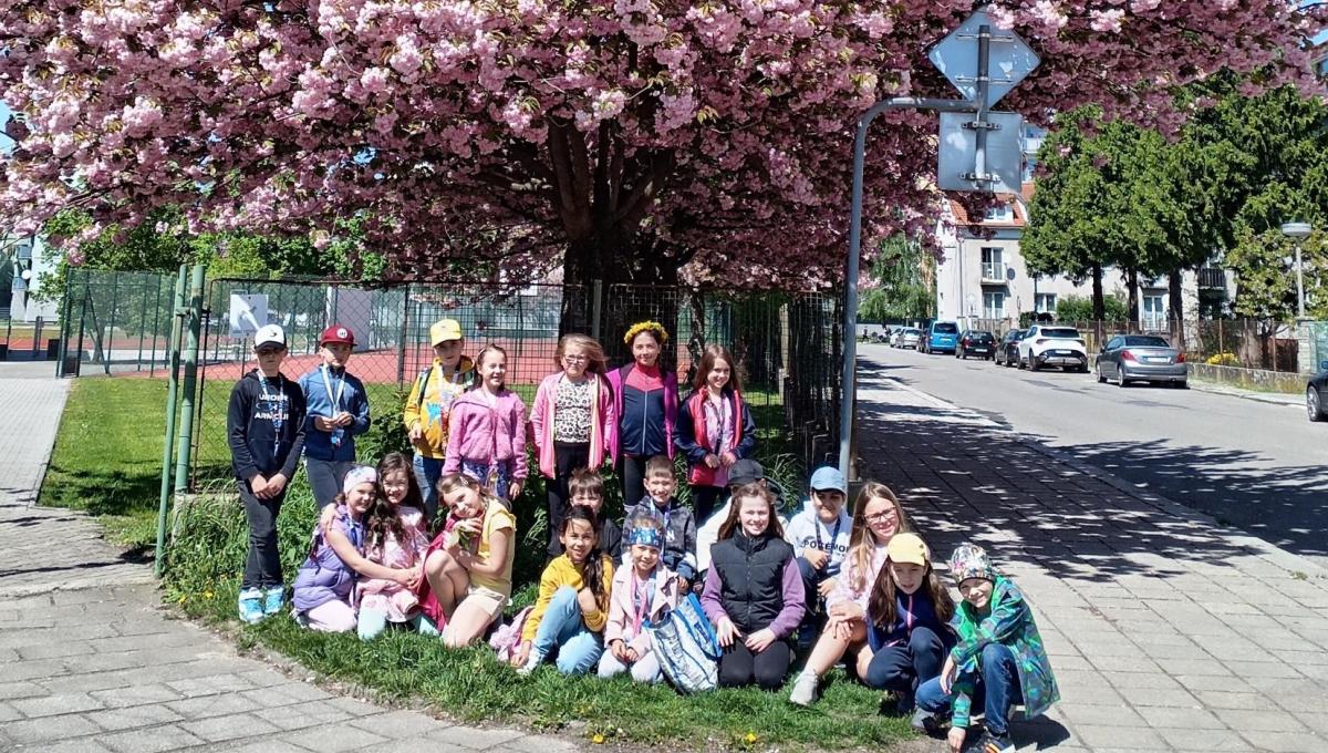 Květen – ve znamení květů, her a tvoření
