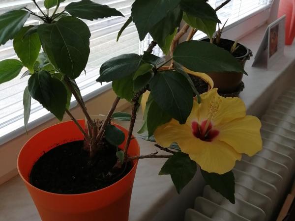 Přírůstek ve třídě :-)