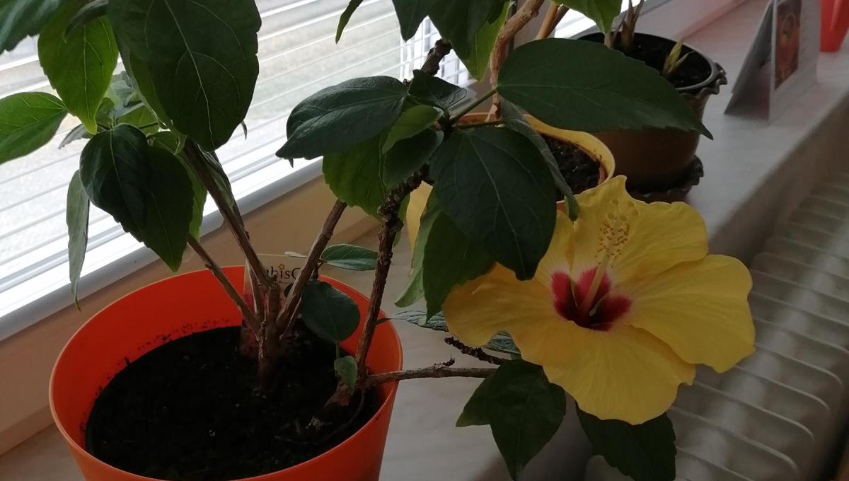 Přírůstek ve třídě :-)