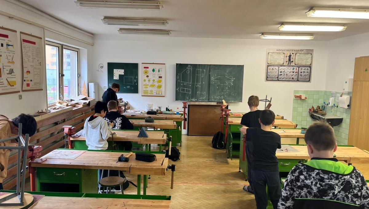 Pracovní činnosti v podání chlapců