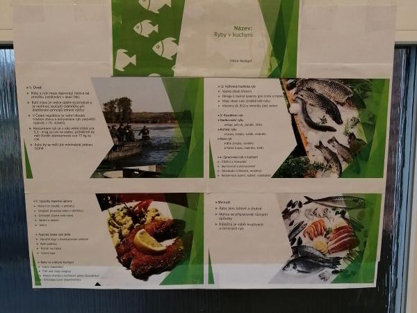 Projekty z přírodopisu