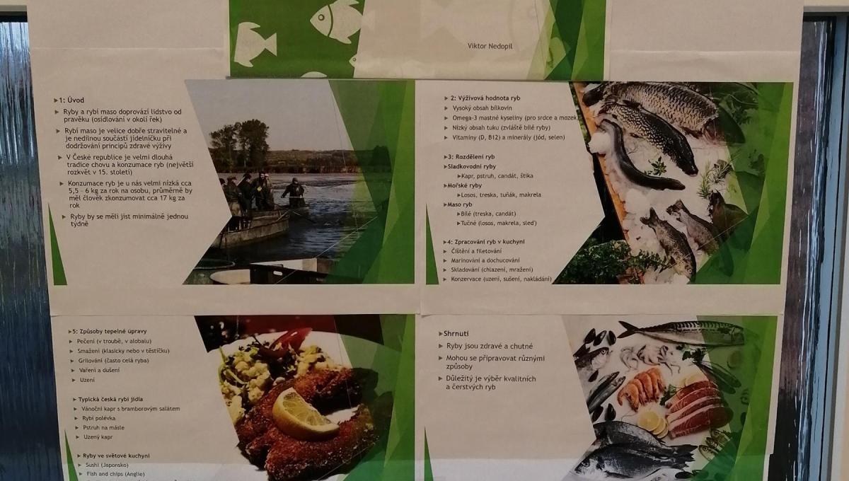 Projekty z přírodopisu