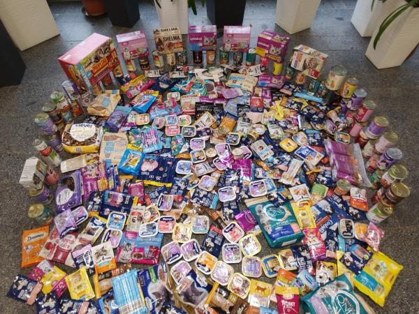 Sbírka pro opuštěná zvířátka se vydařila