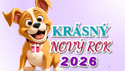 Šťastný nový rok