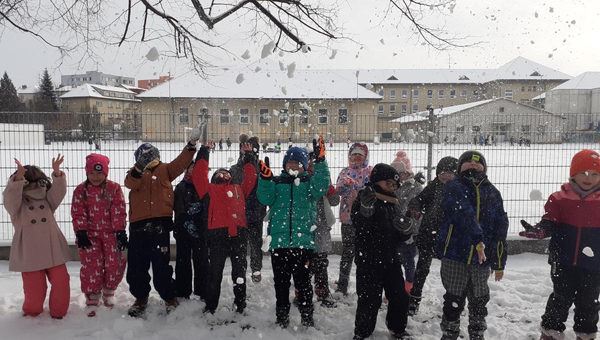 Doba ledová a ledové království v družině