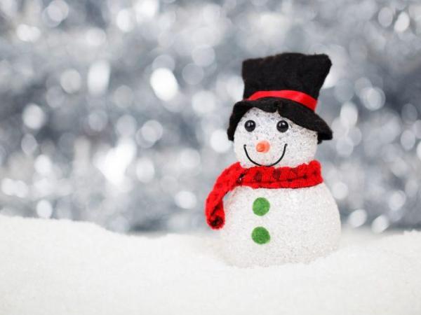 První sáňkování