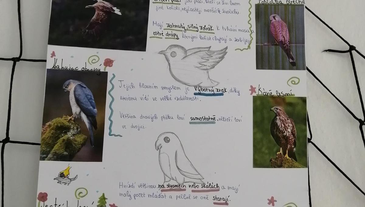 Projekty z přírodopisu