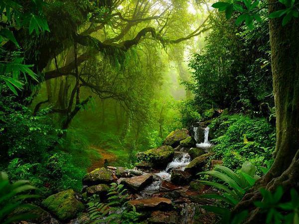 Biologická olympiáda