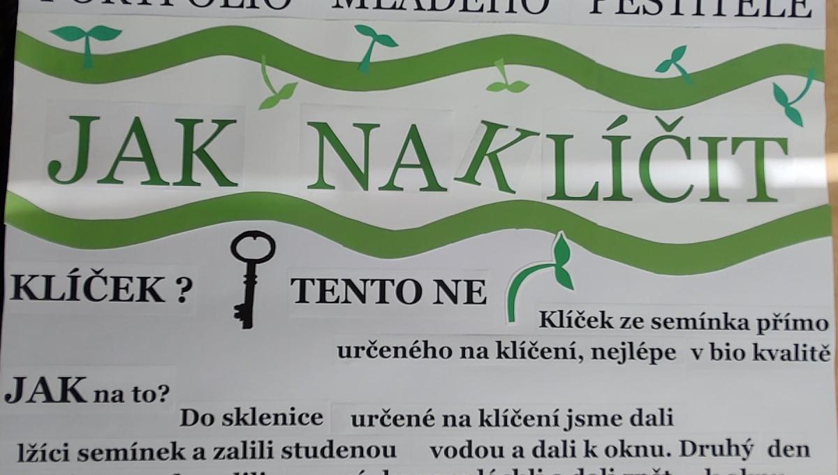 Portfolio mladého pěstitele