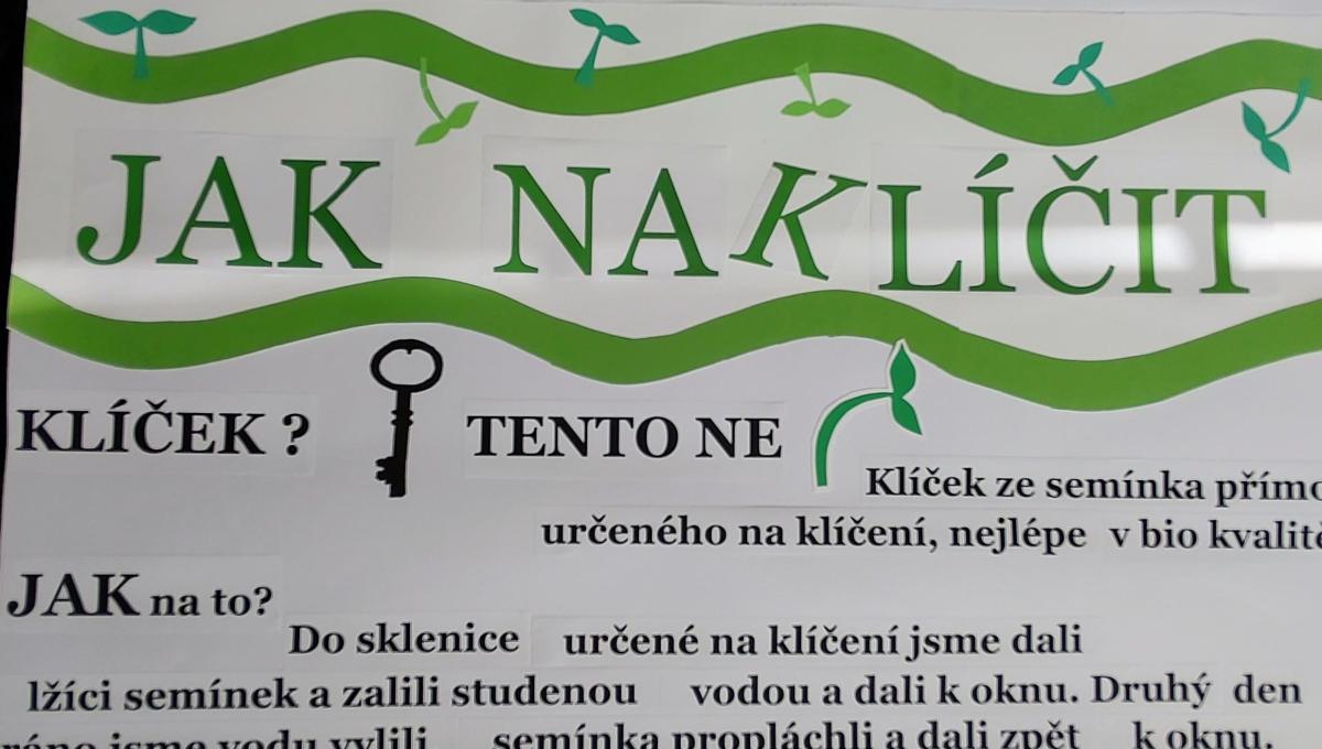 Portfolio mladého pěstitele