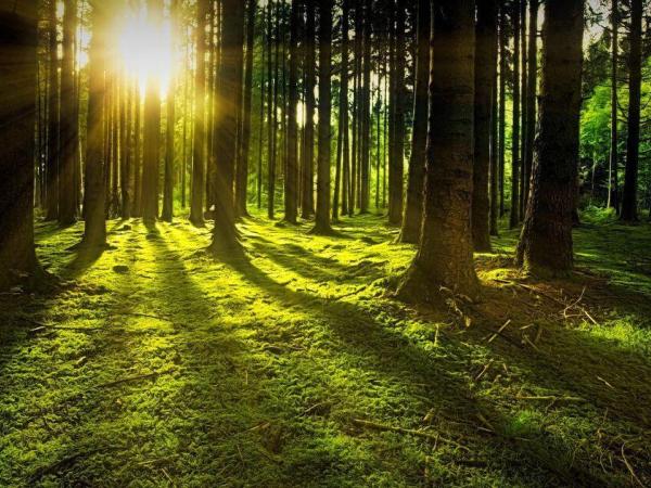 BIOLOGICKÁ OLYMPIÁDA – kategorie D