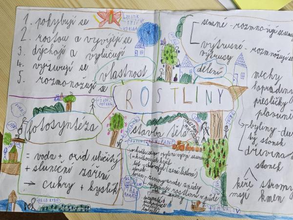 Lapbook rostliny