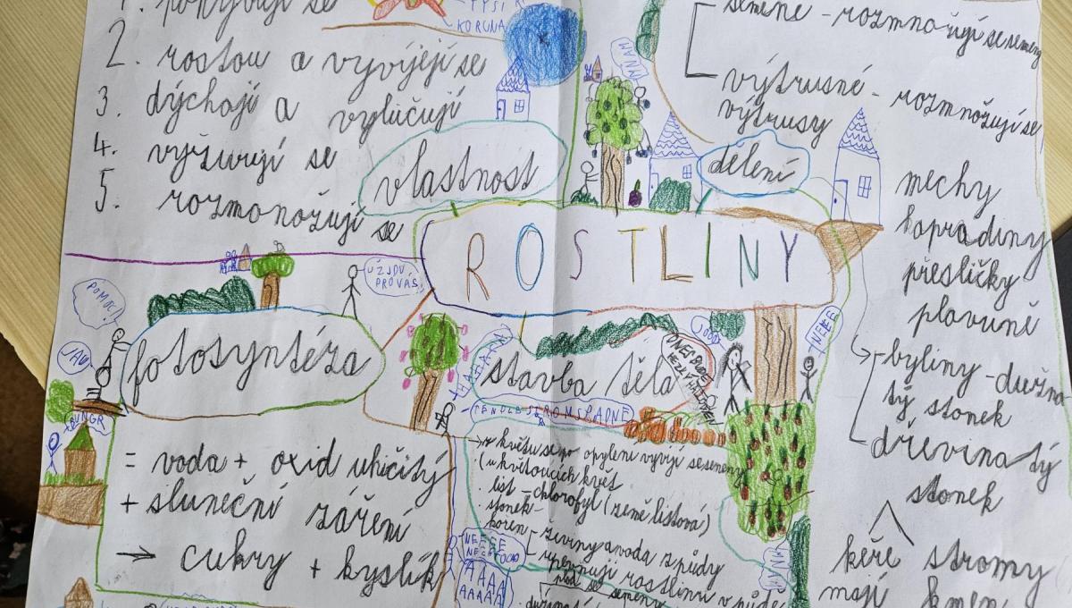 Lapbook rostliny