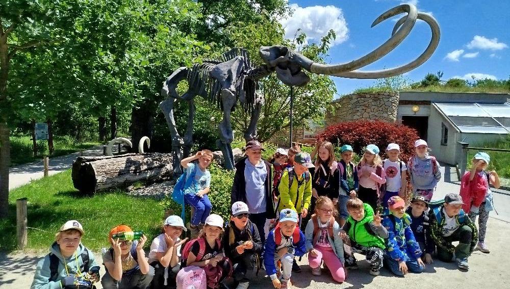 Výlet do ZOO Hluboká
