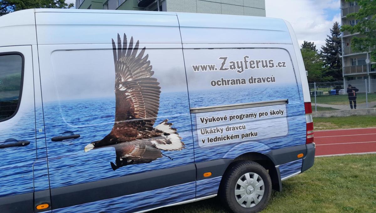Poznáváme dravé ptáky