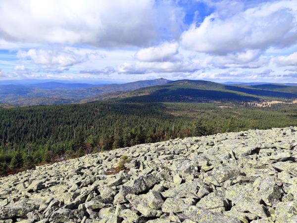 Šumava - zeměpisná exkurze na horu Luzný