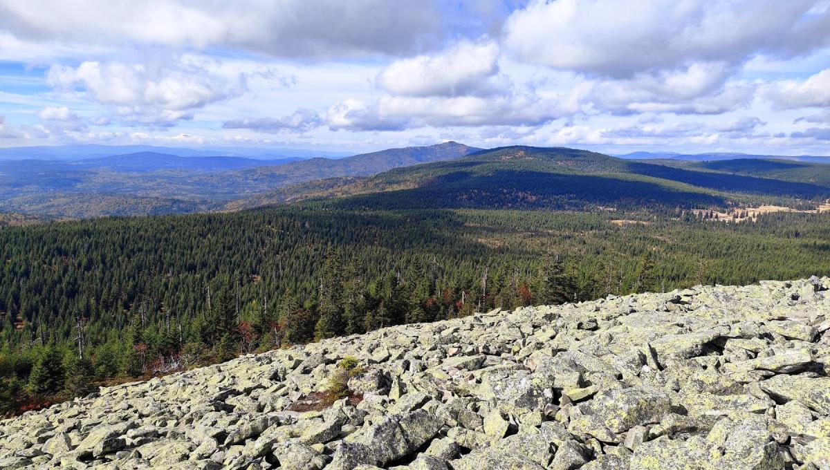 Šumava - zeměpisná exkurze na horu Luzný